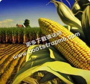 下載APP，暢享體育盛宴 - 咪咕体育