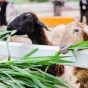 探索体育的精彩世界 - 咪咕体育