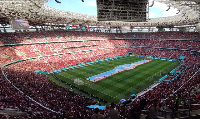 体操项目 体操项目